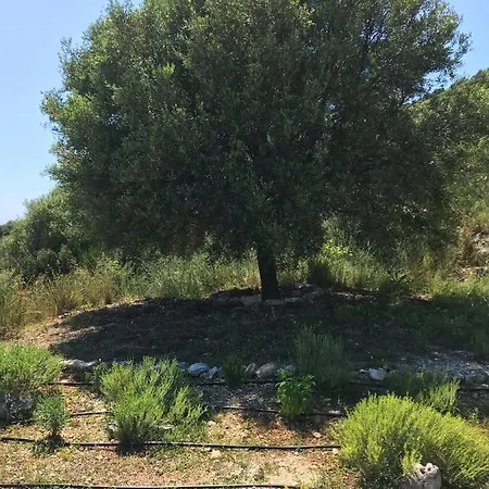 Alkyoni House فاسيليكي